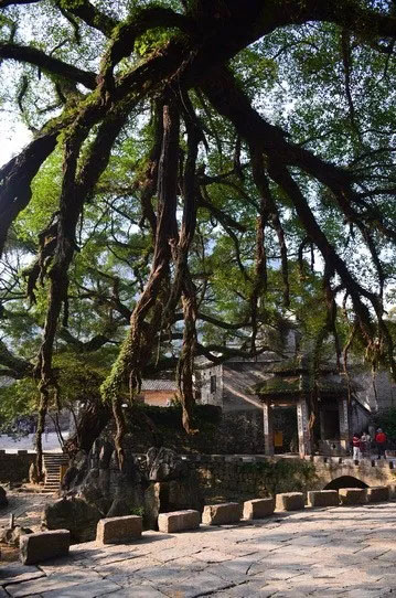 博皓游記 | 夏風(fēng)微醺的綺夢，領(lǐng)略賀州黃姚古鎮(zhèn)、姑婆山閑憩之美-12