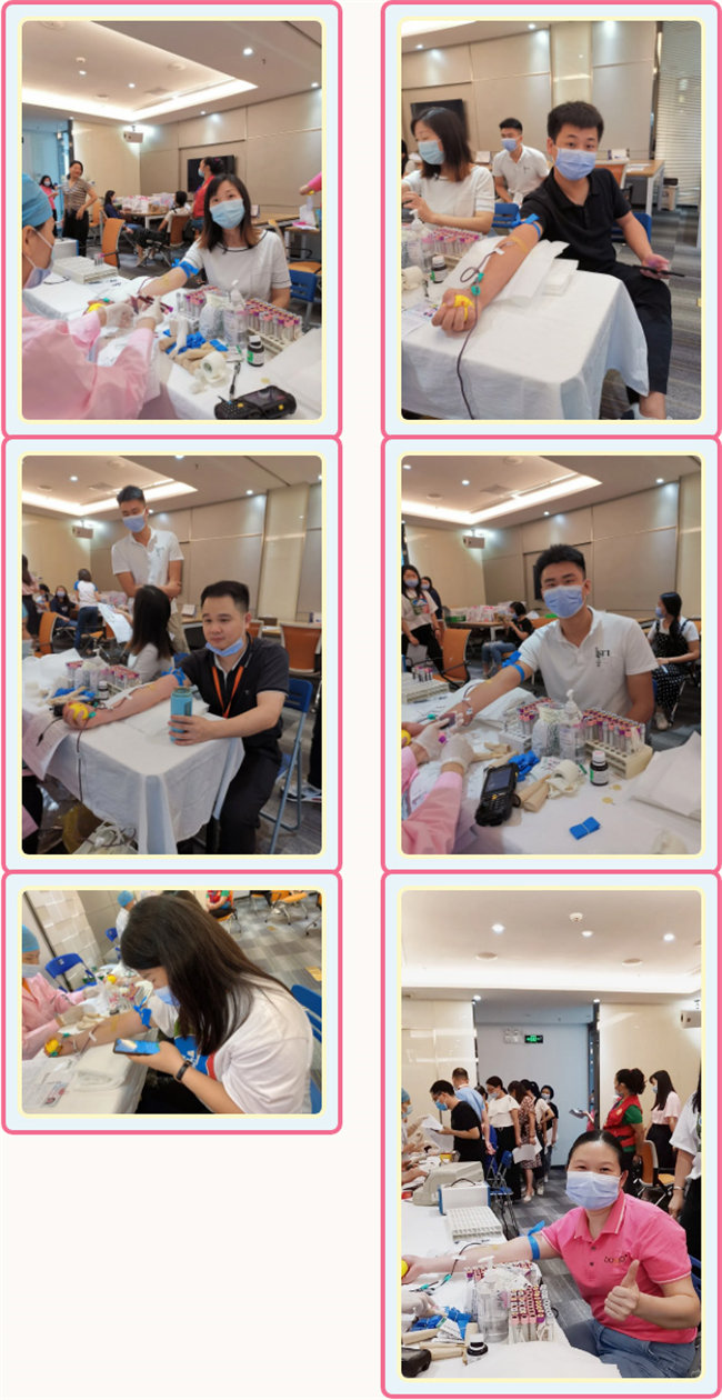 捐獻(xiàn)青春熱血，彩繪人生畫卷——廣東博皓總班委組織了一次“捐我熱血，呵護(hù)生命”的無償獻(xiàn)血公益活動    -3