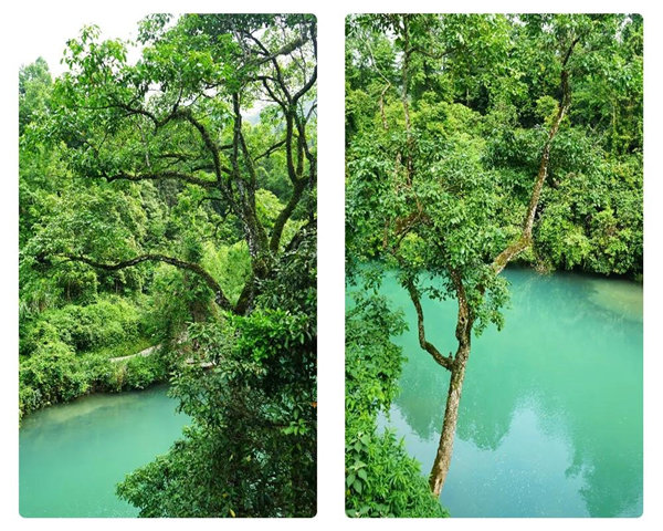 多彩貴州，魅力天下，2021年廣東博皓快樂貴州行-29