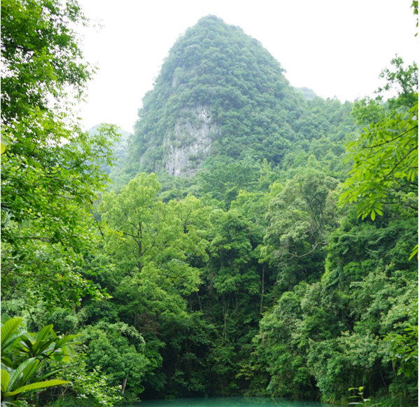 賞華夏大地，游多彩貴州-－2021年廣東博皓快樂(lè)行-2