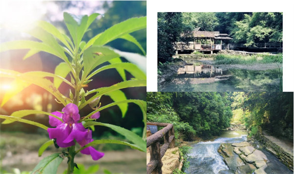 “湘”約鳳凰，相守未來——2022博皓快樂湖南行    -34