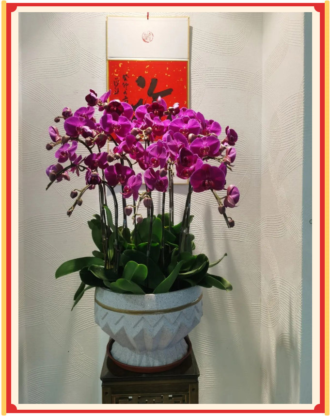 廣東博皓開工大吉丨金虎騰躍，兔來運(yùn)轉(zhuǎn)           -23