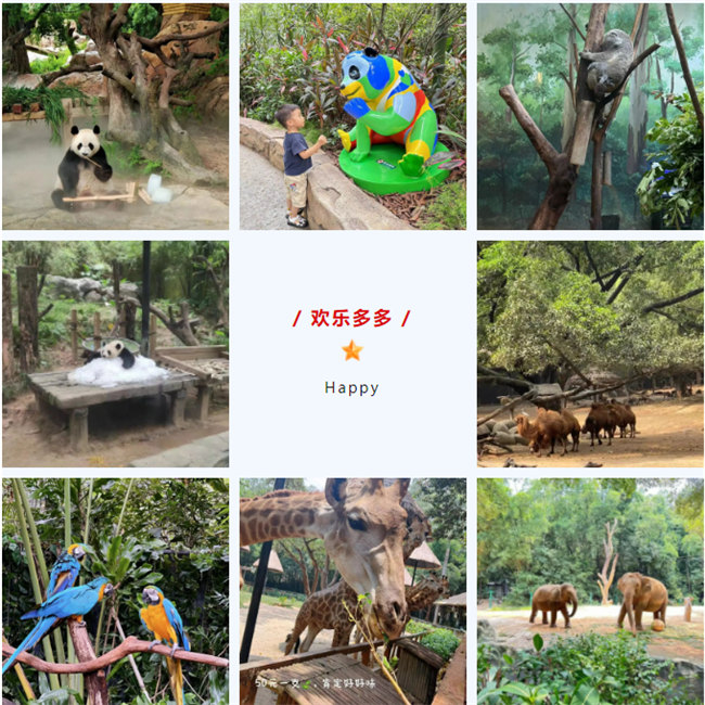 大手牽小手，快樂親子游！廣東博皓2023年親子游活動(dòng)        -8