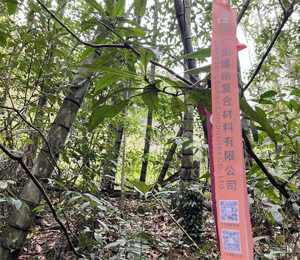 凝心聚力再出發(fā)，風(fēng)雨同舟赴星溪！--廣東博皓2024龍年首登星溪之旅     -2