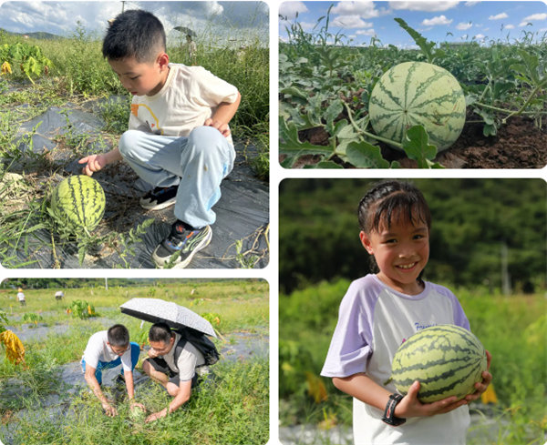 趣游盛夏，一路童行—2024年廣東博皓親子游   -12