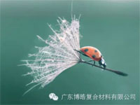 【博皓感悟】成功，要“借力”，不要“盡力”