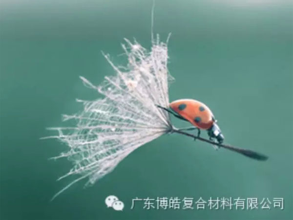 【博皓感悟】成功，要“借力”，不要“盡力”